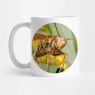 Paper Wasp Macro Photograph Mug